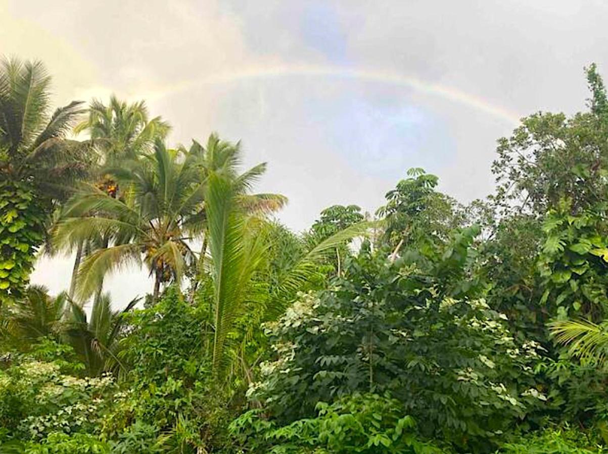 Seaside House And Aloha Bungalow Pahoa Bagian luar foto