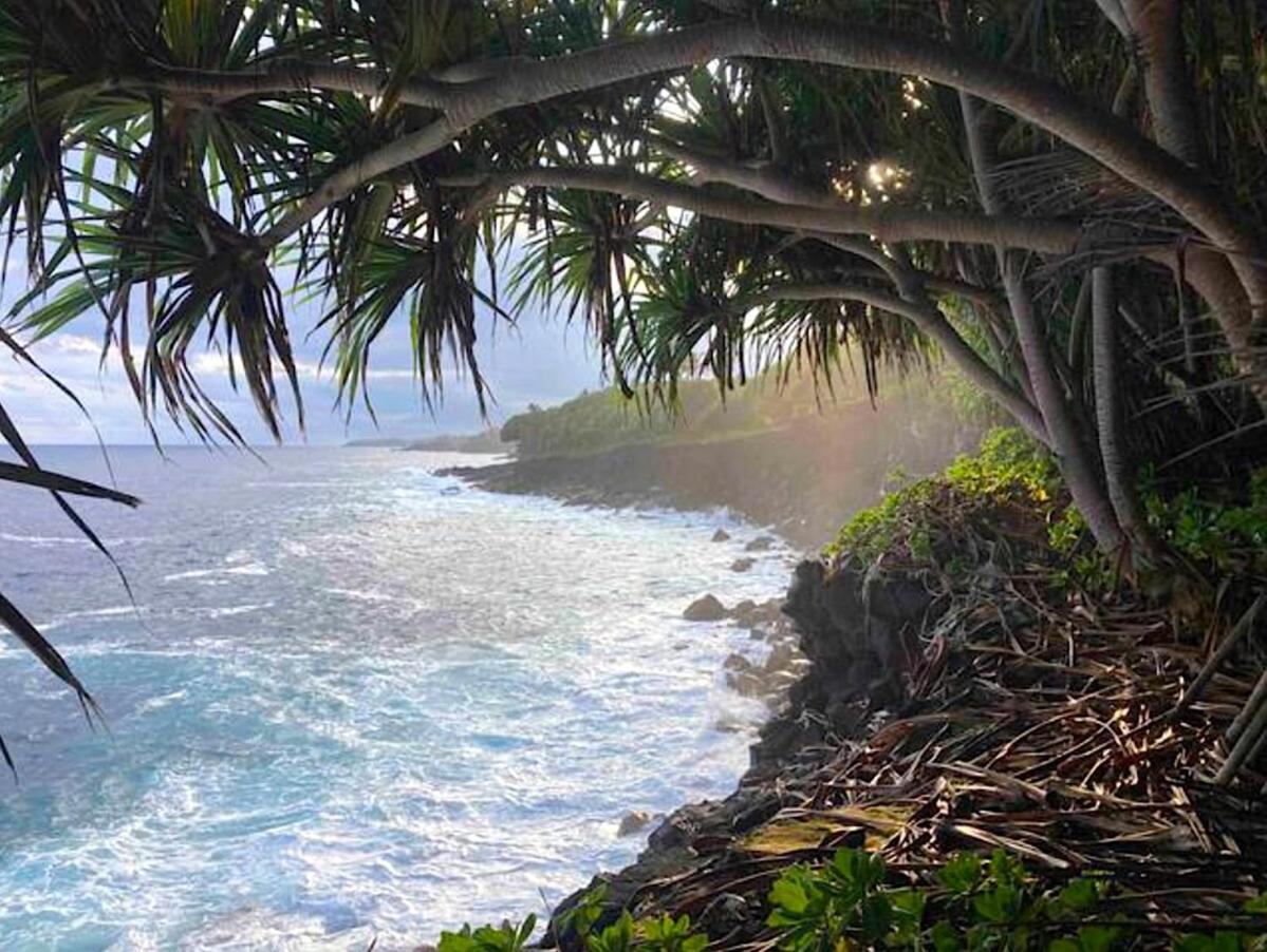 Seaside House And Aloha Bungalow Pahoa Bagian luar foto