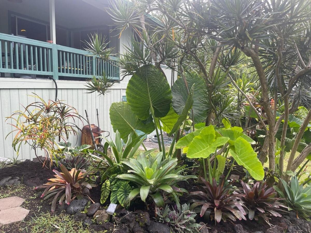 Seaside House And Aloha Bungalow Pahoa Bagian luar foto